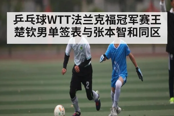 乒乓球WTT法兰克福冠军赛王楚钦男单签表与张本智和同区